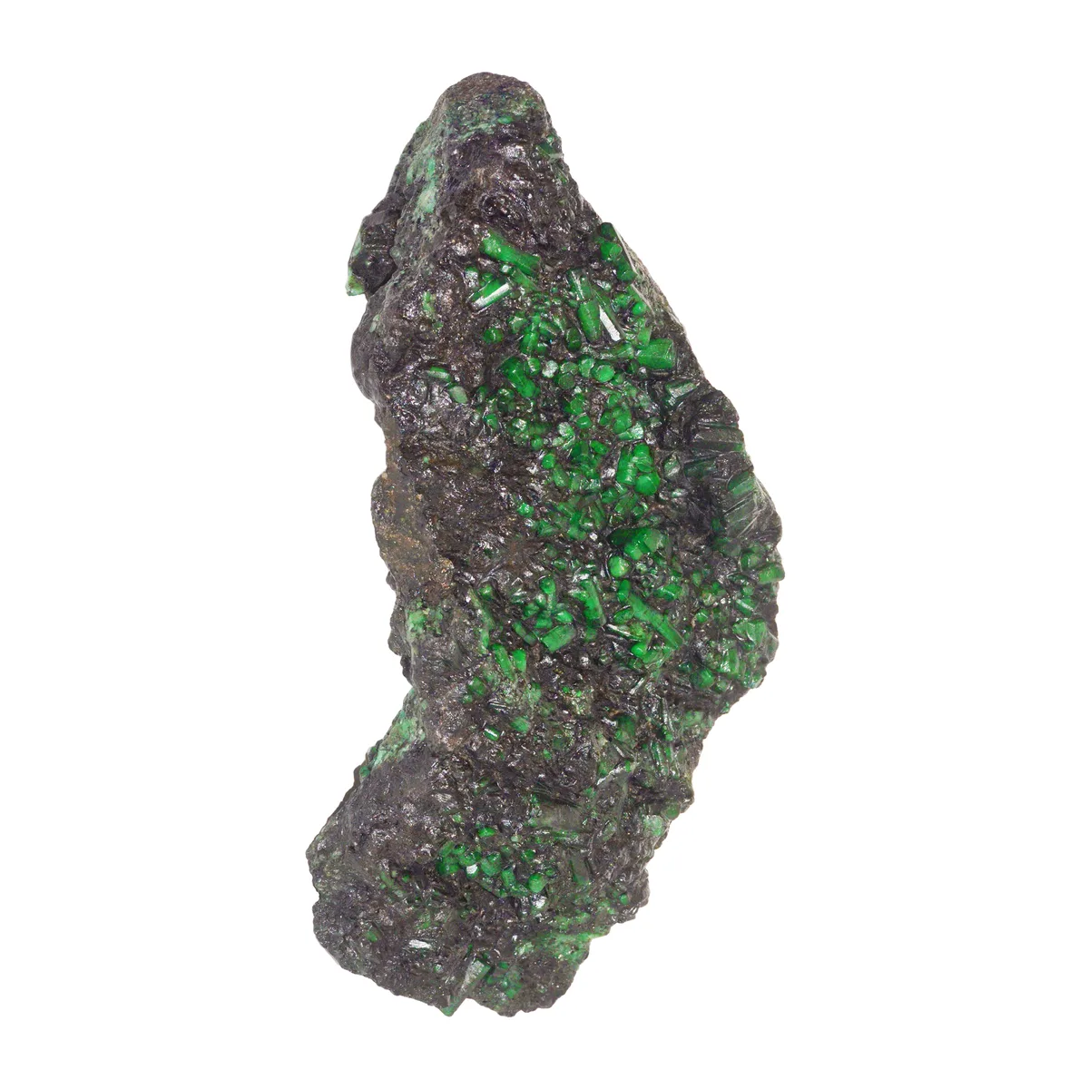 Bellerophon Gemlab — Certificate A13896