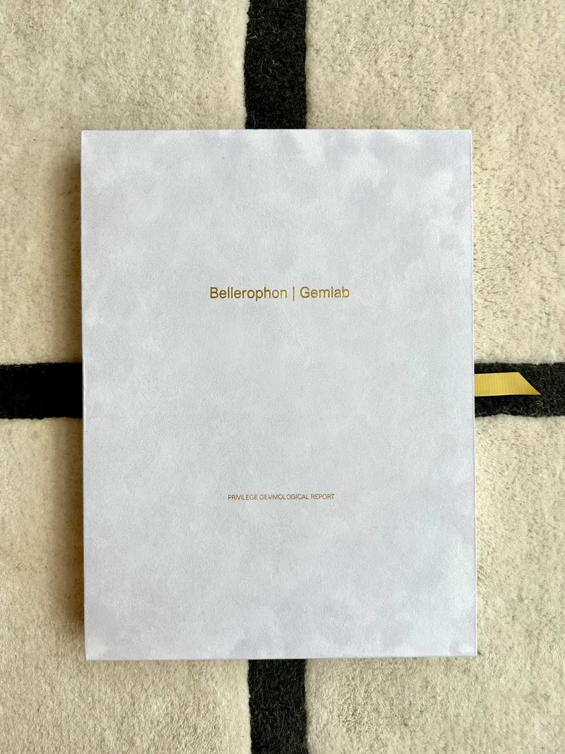 Bellerophon Privilege Report