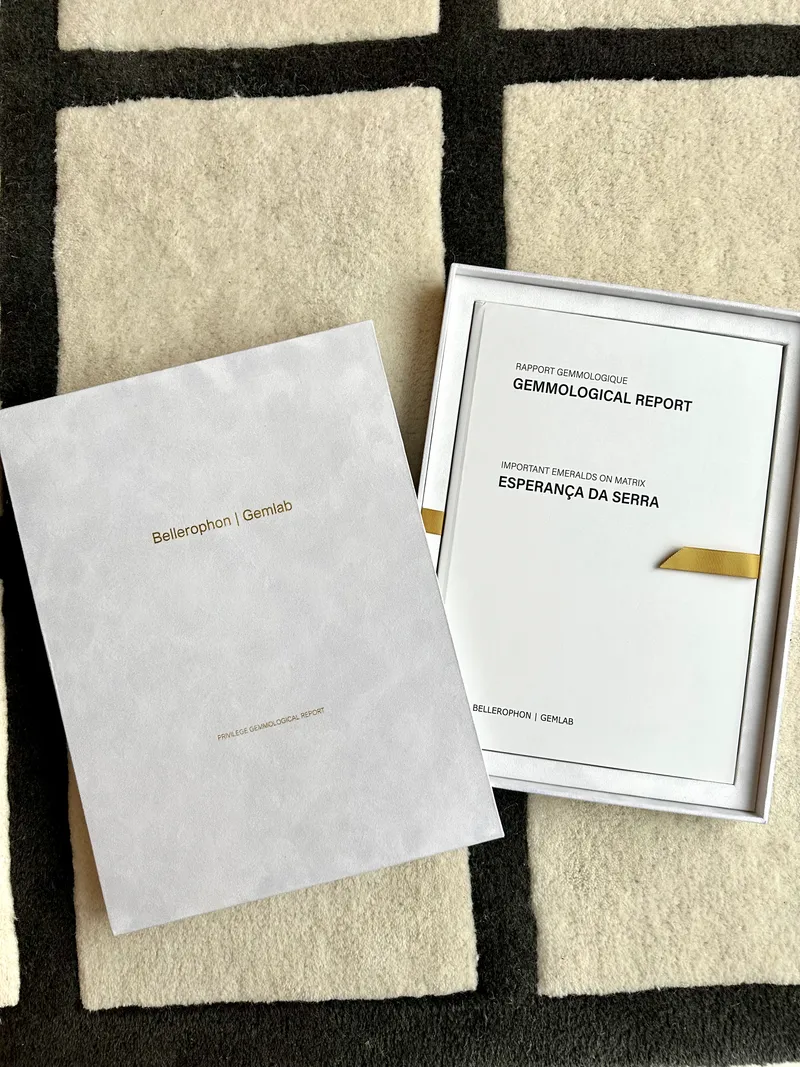 Bellerophon Privilege Report