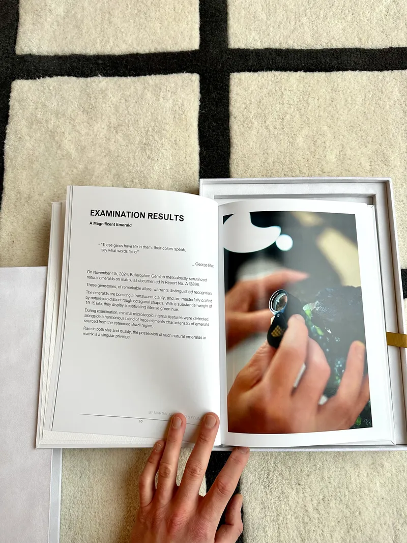 Bellerophon Privilege Report